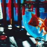 大不点说说娱乐
