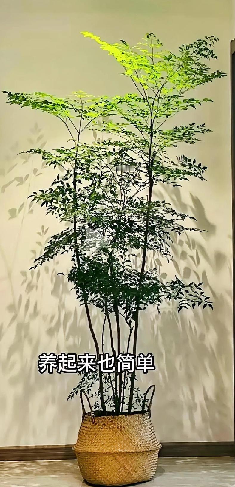 人无弃人，物无弃物。
善行无辙迹，善言无暇谪，善计不用筹策，善闭无关键而不可开，