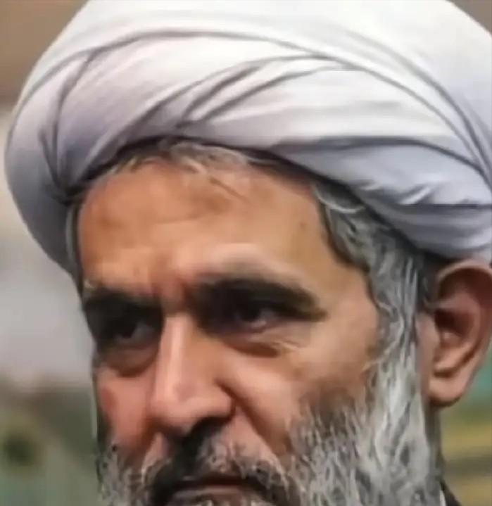 终于明白美国和以色列的导弹为什么打那么准了。

信任崩塌：当“清道夫”沦为“带路