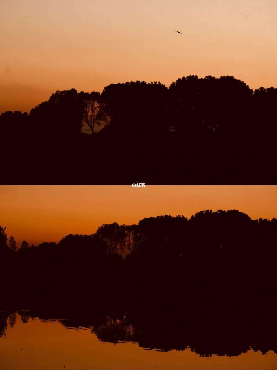 骑行垂钓新体验|2023禧玛诺嘉年华