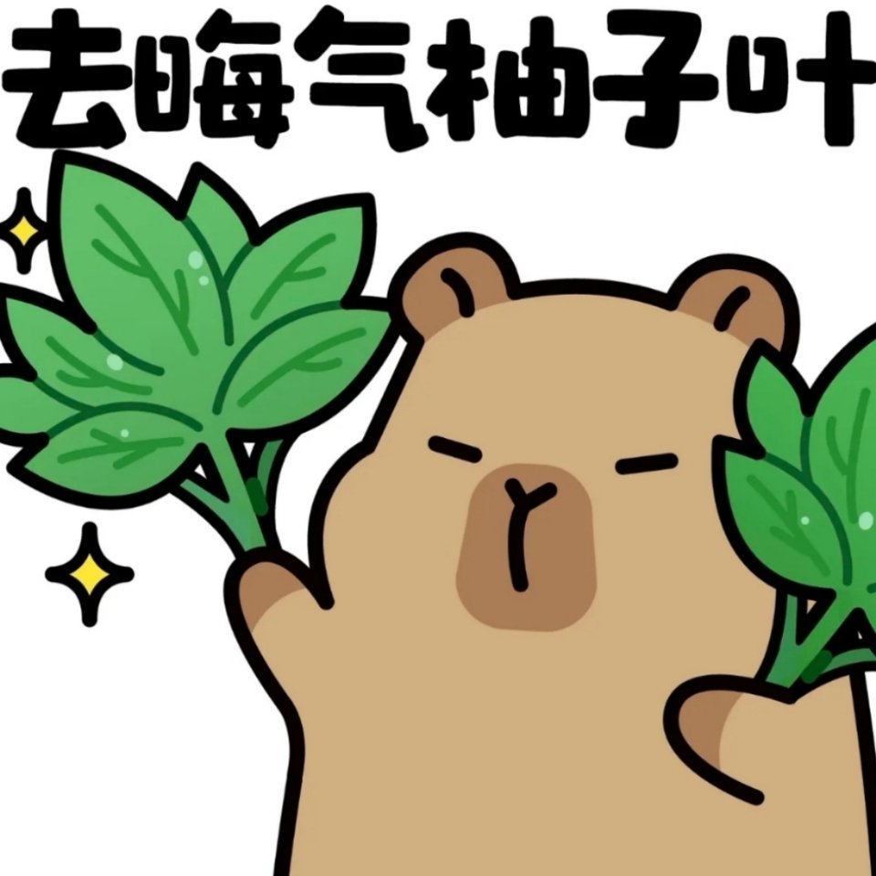 日本众议院选举结果这说明高市早苗的所作所为，日本人挺买账的 