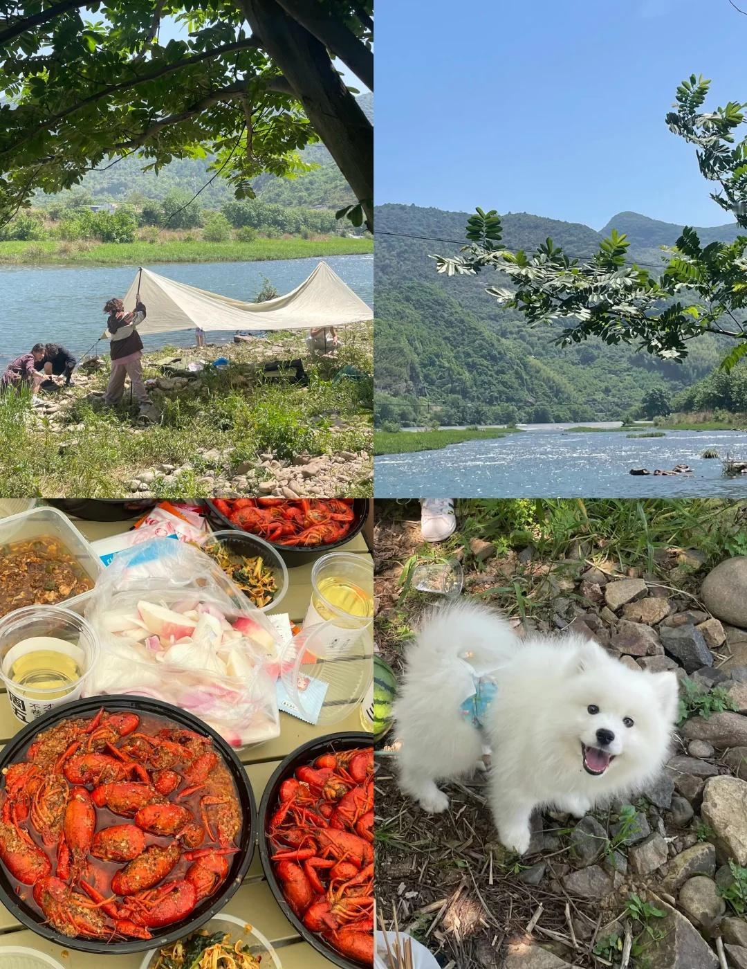 把节奏放慢，生活也是爱也是！
放慢节奏享受生活 快乐都在不经意间