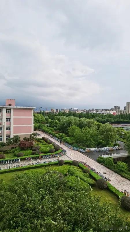 《苏幕遮·雨后寄学子》之一
雨初收，风细细。翠叶翻荷，珠碎银盘里。
榴火燃晴红欲