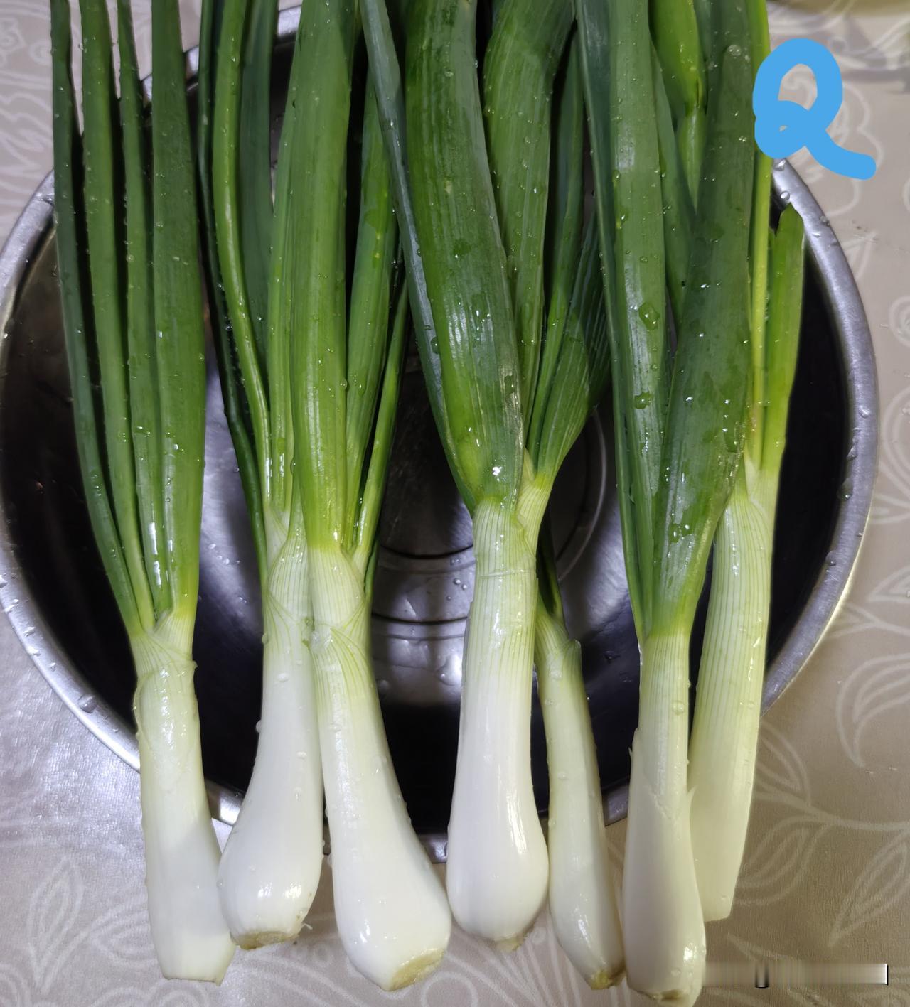 洋葱苗地冬铺蔗渣试验成功，对比实验铺过蔗渣地的洋葱苗明显脆甜

图1图2，各是1