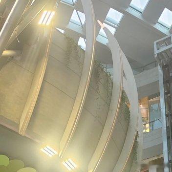 每日一善一切都是为了阳光信用毕竟好久都没怎么涨了 一起保护大自然 与社会携手做公