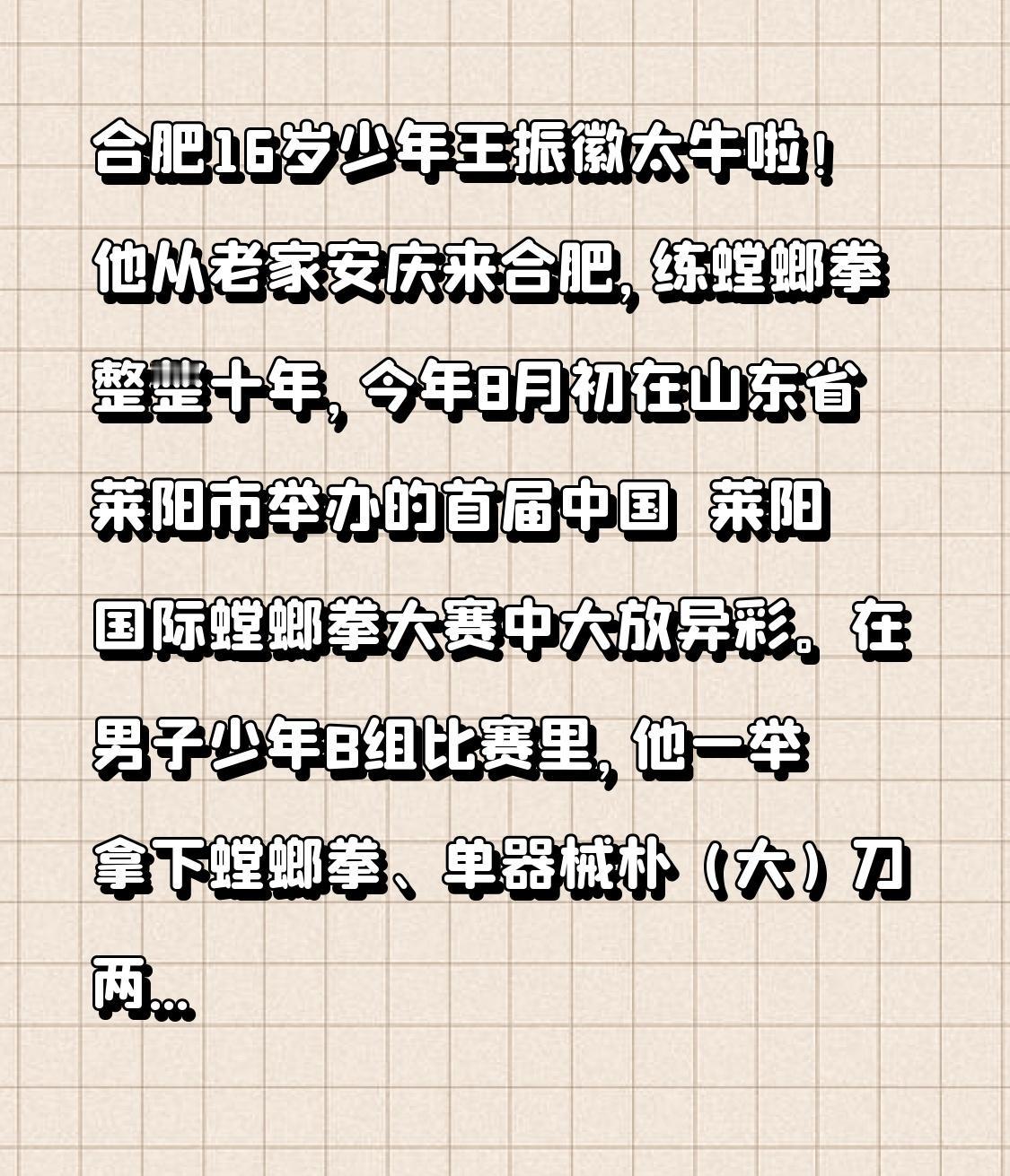 合肥16岁少年王振徽太牛啦！他从老家安庆来合肥，练螳螂拳整整十年，今年8月初在山
