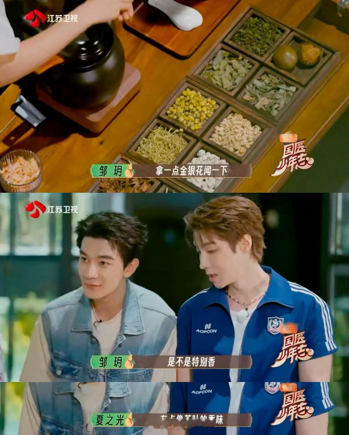 原来古人是这么认识中药的金银花解表，葛根通络，古人用自然之道疗愈身心！中药不是玄