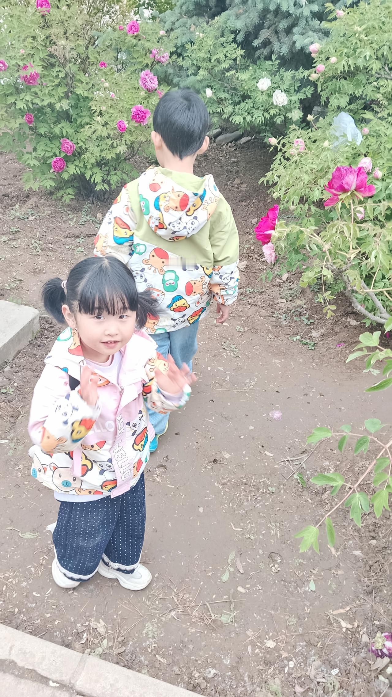 真心话茶局和孩子们在一起看牡丹，真的开心。