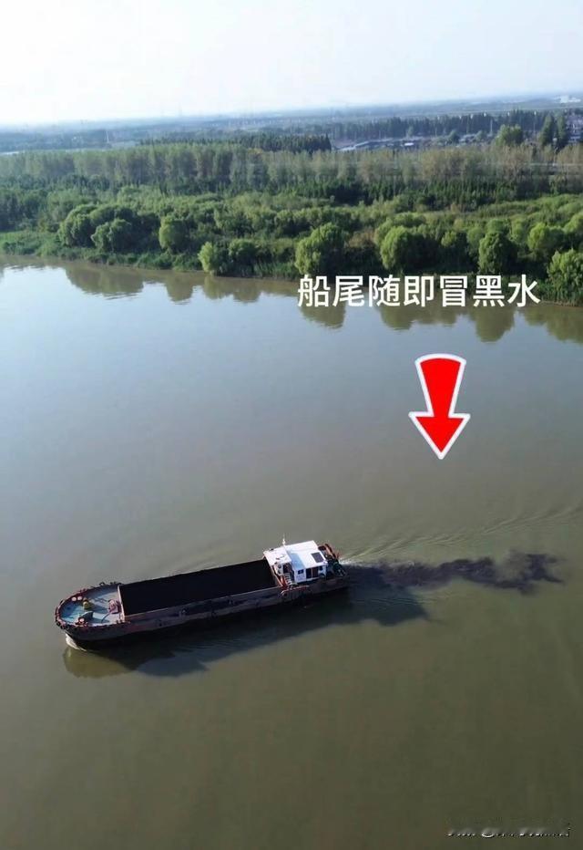 一个百思不得其解的现象：都在说长江大保护取得了多大多大的成果，江豚都回来了——可