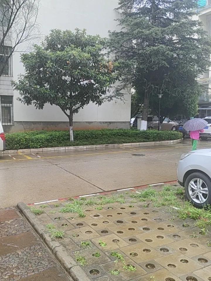 5月的昆明，这下雨天冷得让人怀疑人生。前几天还穿着短袖，这一下雨直接就得套上厚外