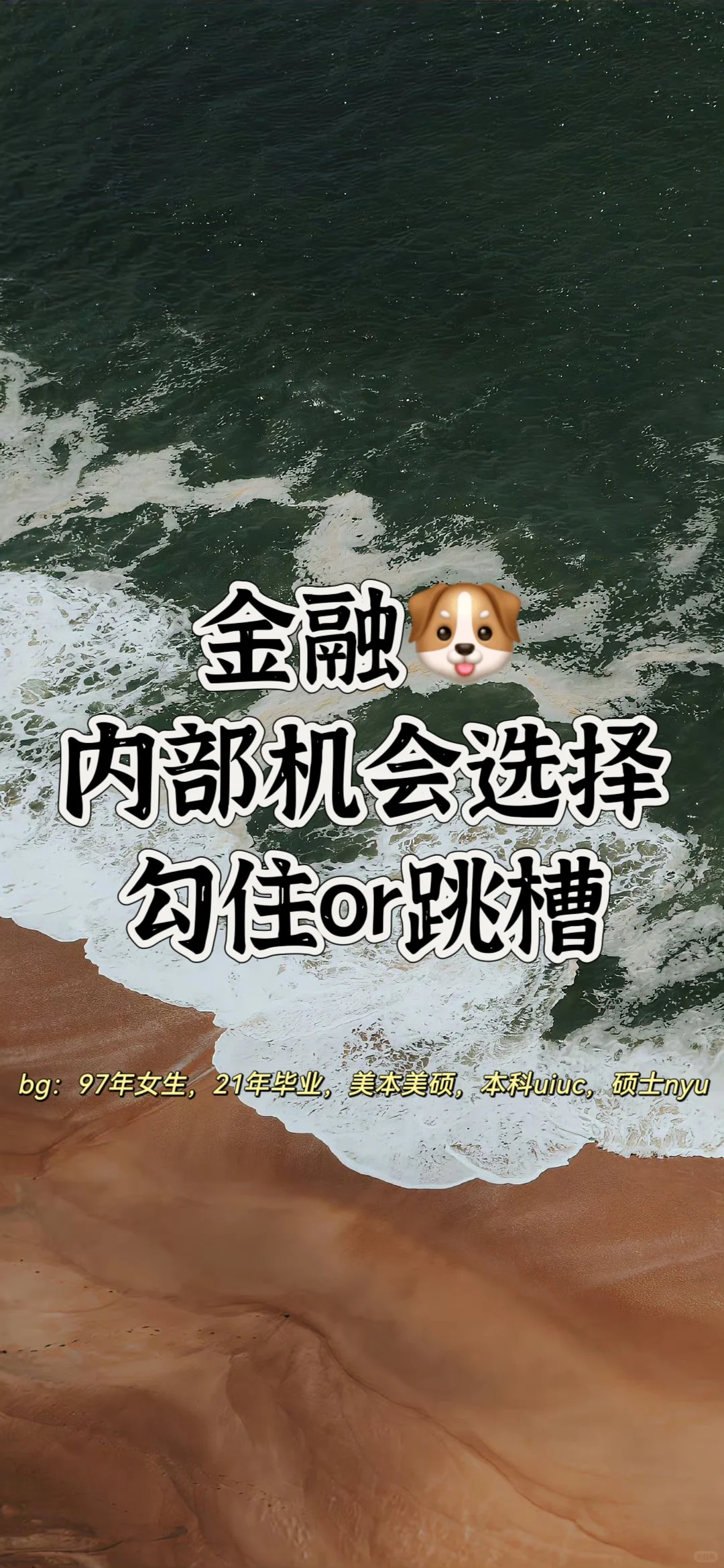 金融🐶的内部机会选择