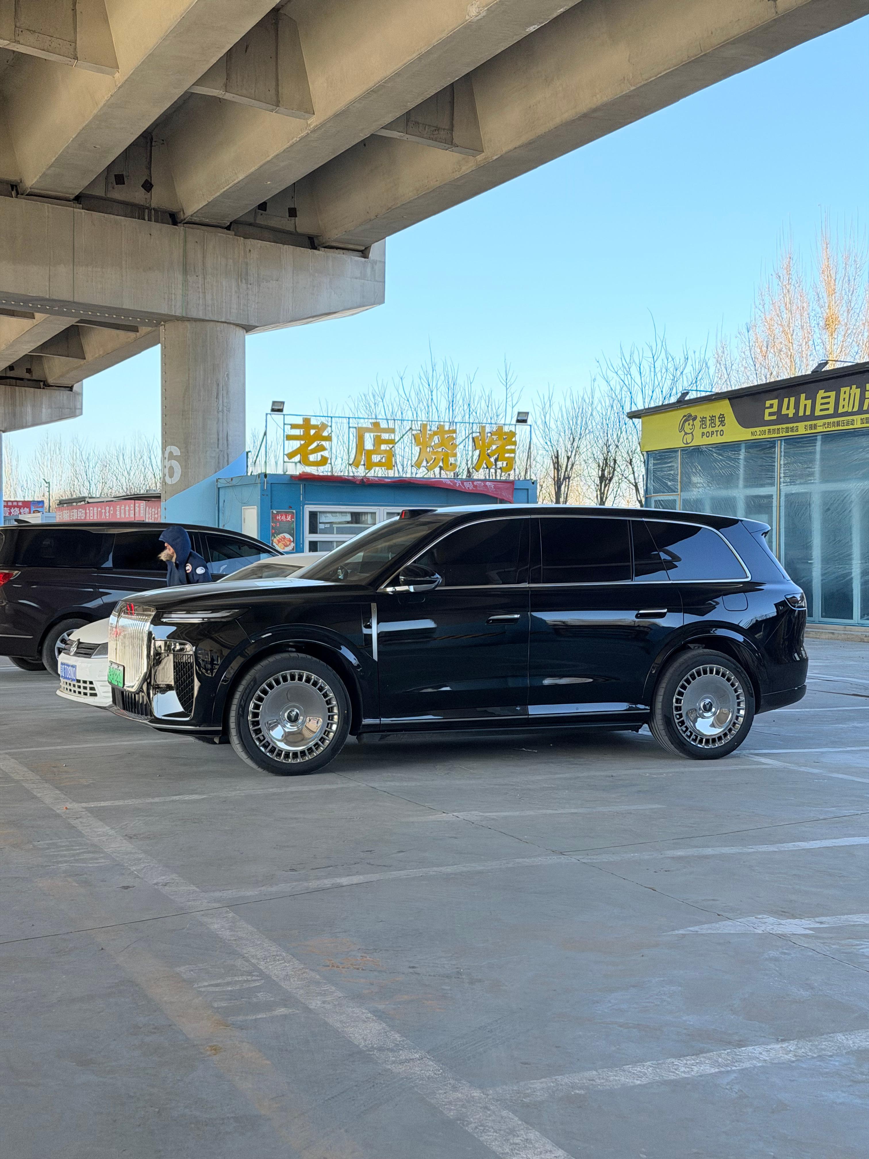 岚图泰山真是越看越好看这个角度是不是有霸气很多？猛禽身边跟了一圈蹭饭喜鹊