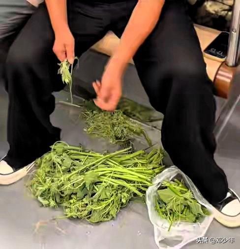 上海阿姨啊，这是地铁，不是你家厨房！
近日，上海18号线上，一位女子坐在车厢里摘