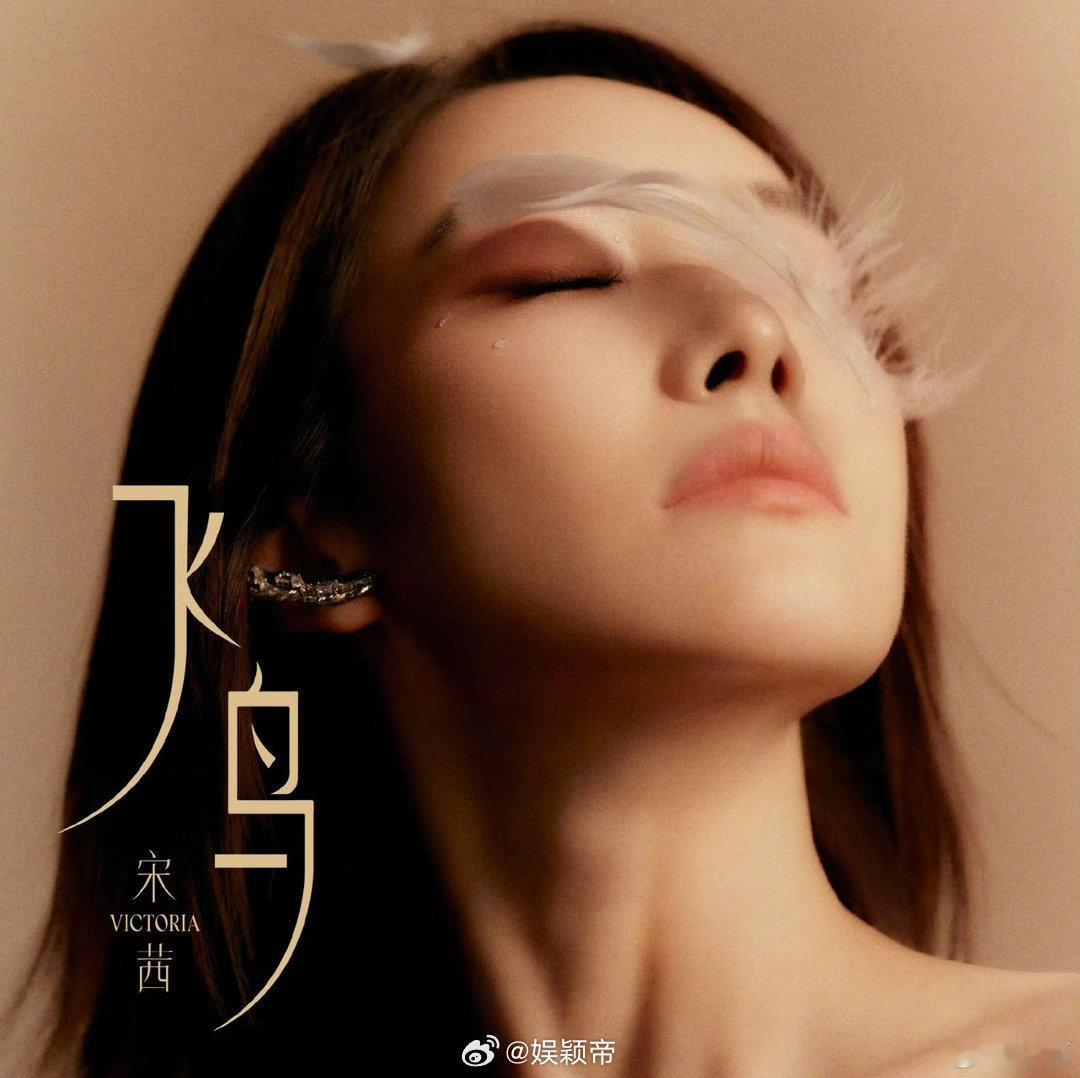 宋茜新歌飞鸟MV宋茜新歌飞鸟谁还没循环宋茜《飞鸟》，嗓音温柔又带着韧劲，很适配这