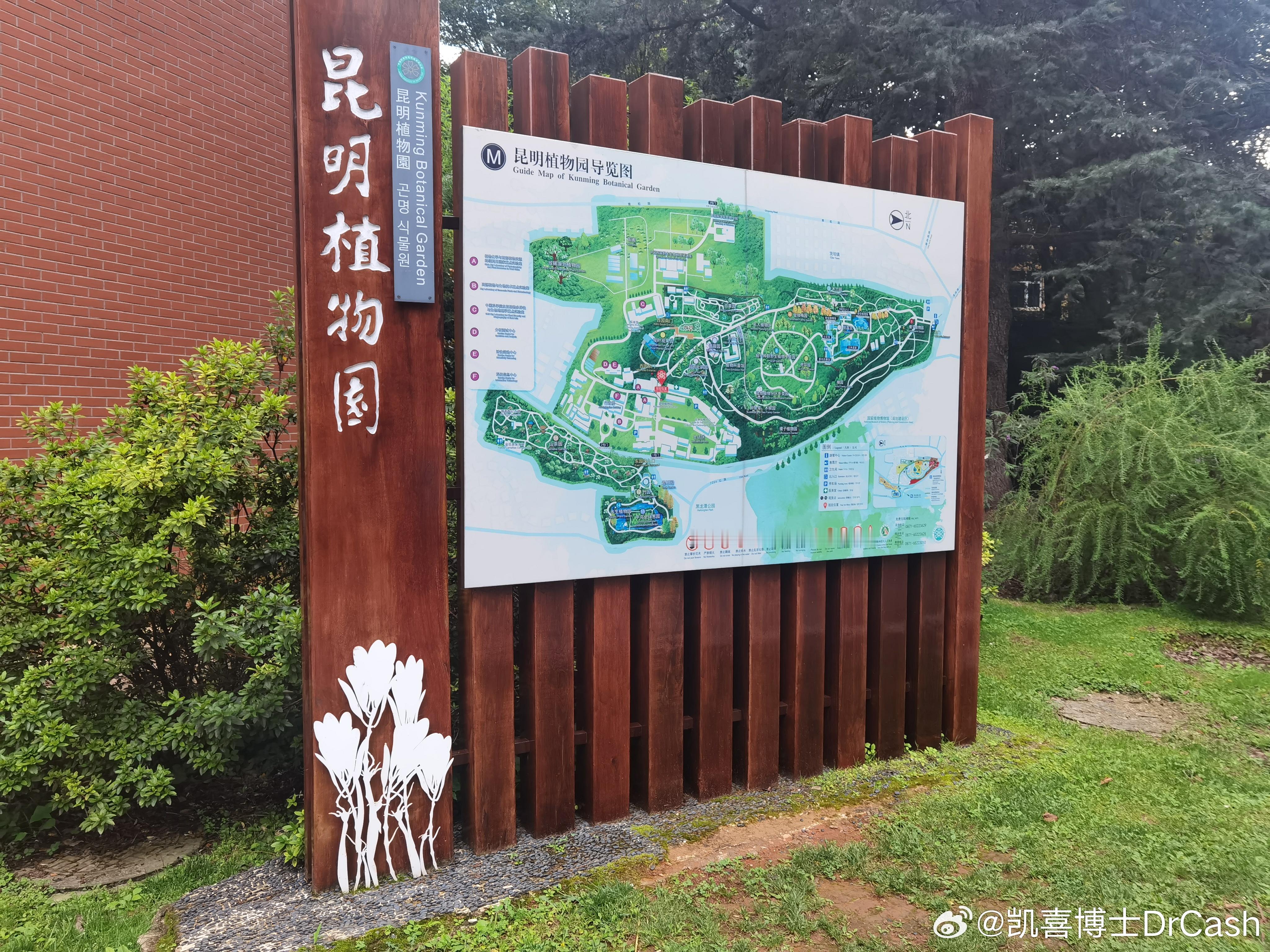 苏州上海近40度，俺在昆明学习[馋嘴] ​​​