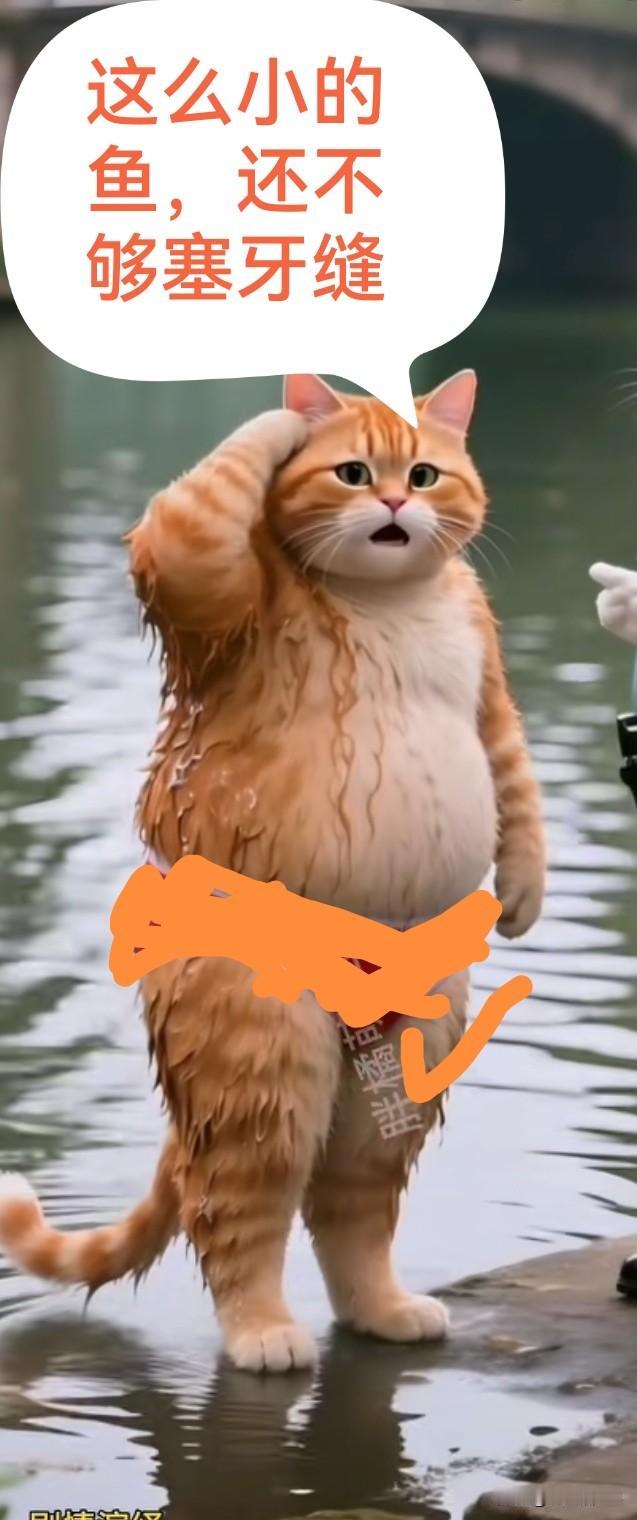 天气0到十度，大降温真的很难钓到鱼吗？
钓鱼不钓草，等于瞎胡跑。钓鱼不打窝，钓的