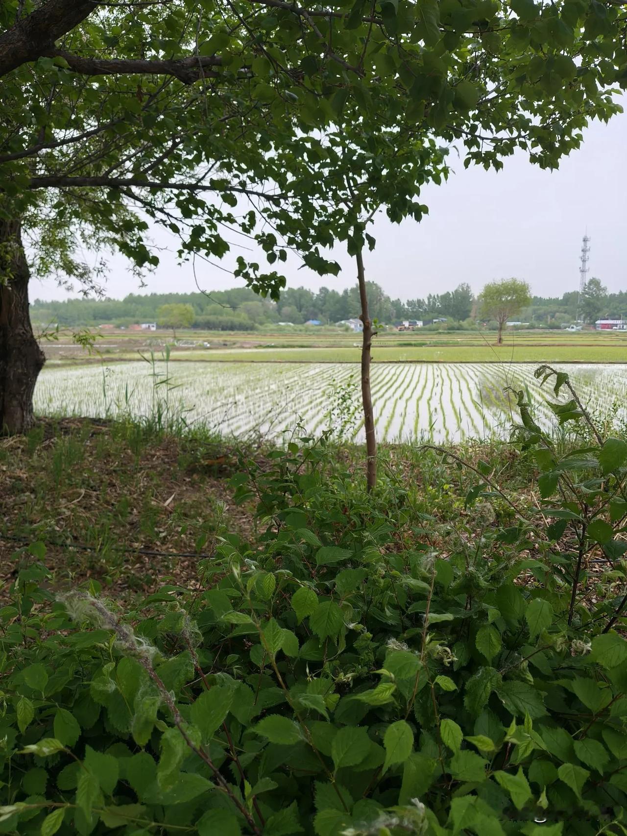 孩子的成绩和家里的生活费，到底选择哪个呢？
去挣钱，孩子监管不到位，成绩势必下降