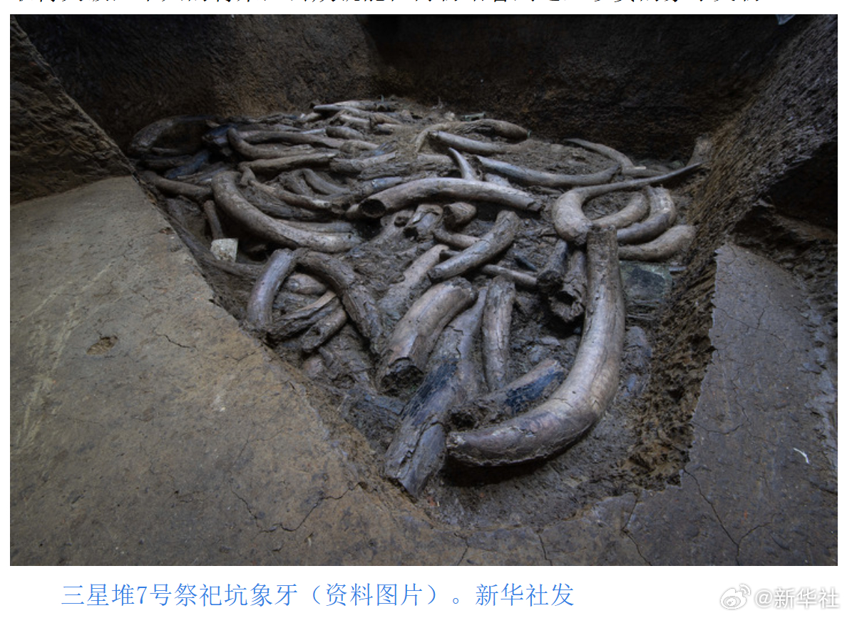 【技术突破！#文物医生拯救三星堆象牙# 国宝终可直面公众】说起在三星堆修复文物，