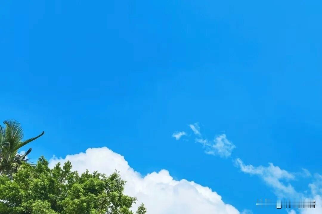 晒图笔记大赛蓝天白云，秋日里最美的景色。可惜这样的美景，将告一段落，接下来，就是