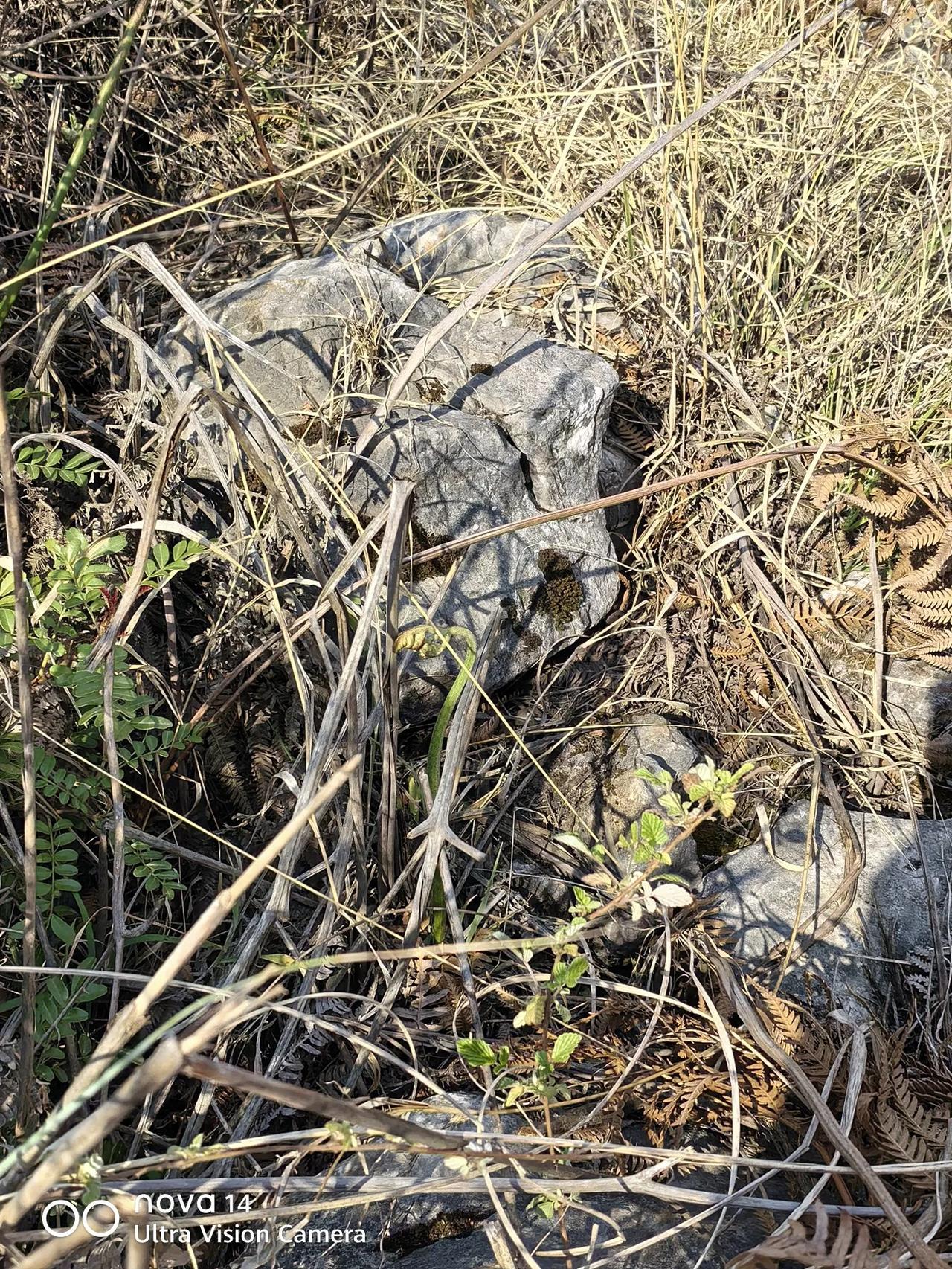 今年春天最想实现的心愿又是一春，希望大家都有好身体，好心情，发财！！