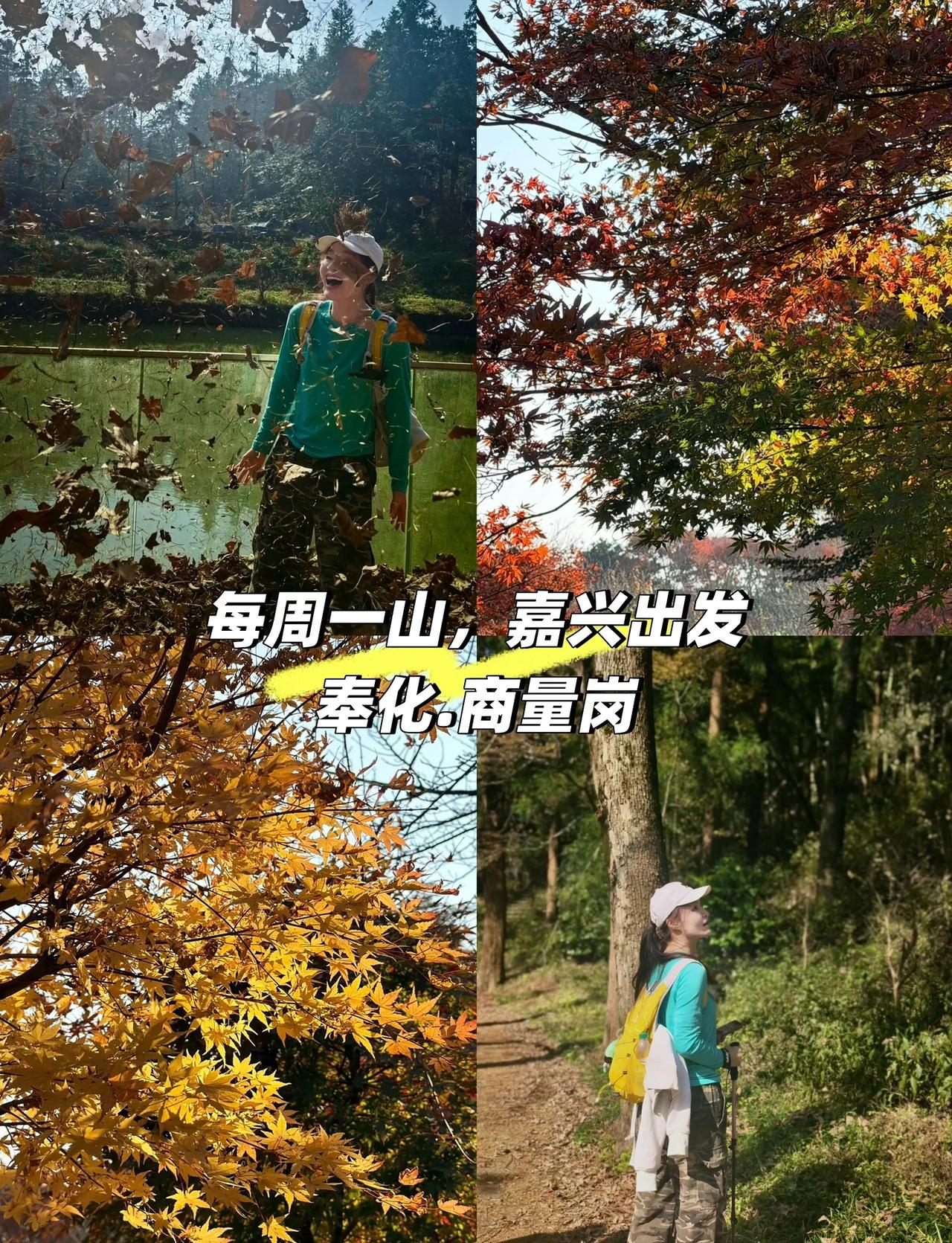 秋天奉化商量岗8.5km环线徒步攻略
这条环线以东姜坑村为起点，全程约8.5km