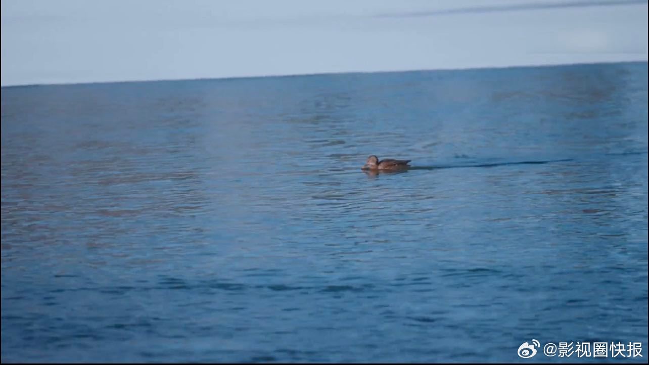 阿勒泰神仙湾雪景太治愈了 雪落无声，治愈有心。阿勒泰神仙湾用一场极致雪景，诠释冬