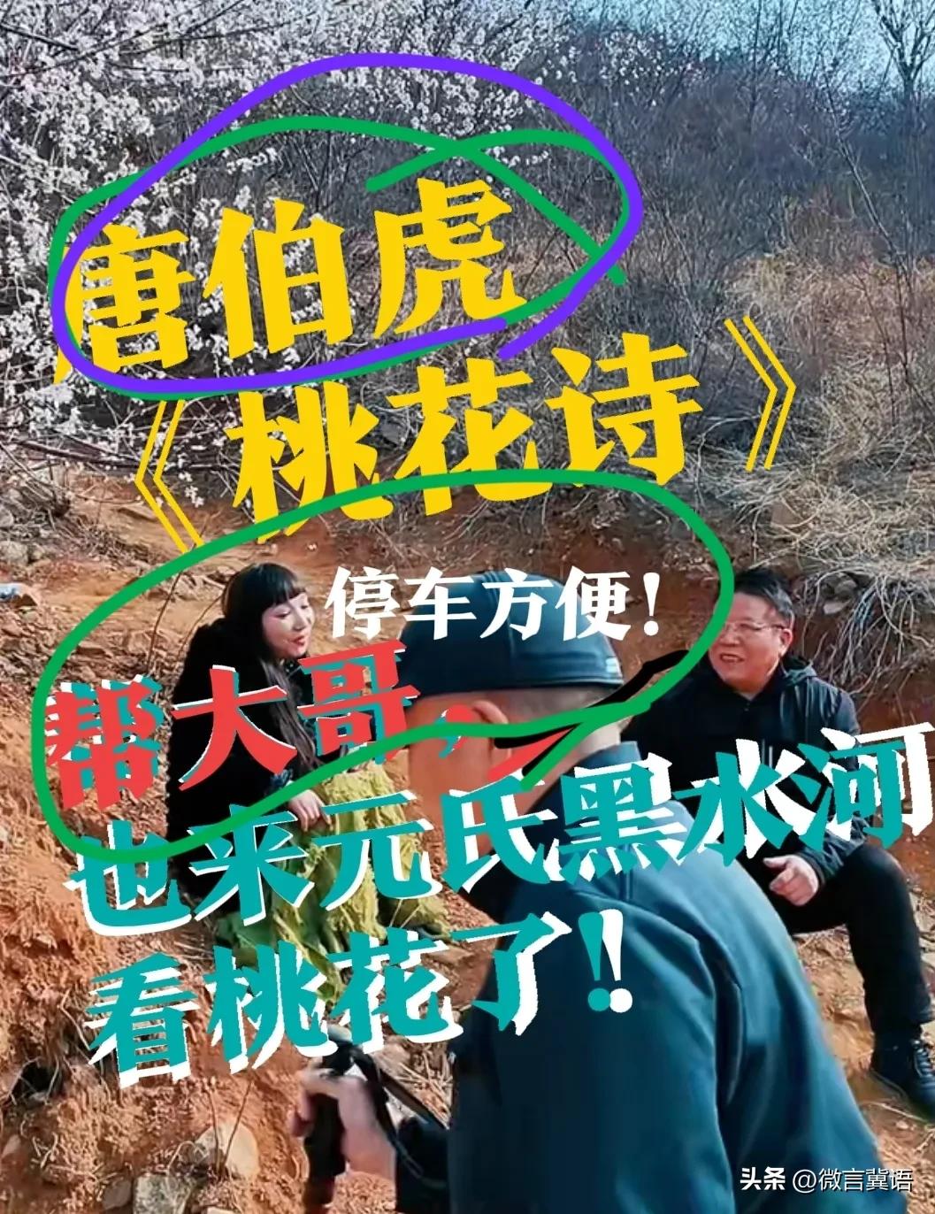 【元氏桃花，“帮大哥”也来了】河北电视台《非常帮助》栏目的一位“帮大哥”，应该是