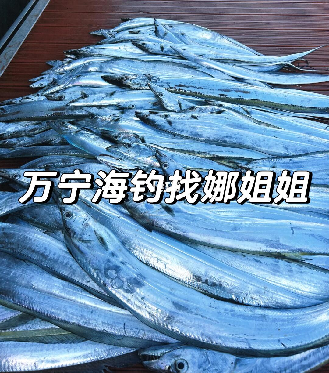 万宁海钓、娜姐带你钓鱼🎣船东直营