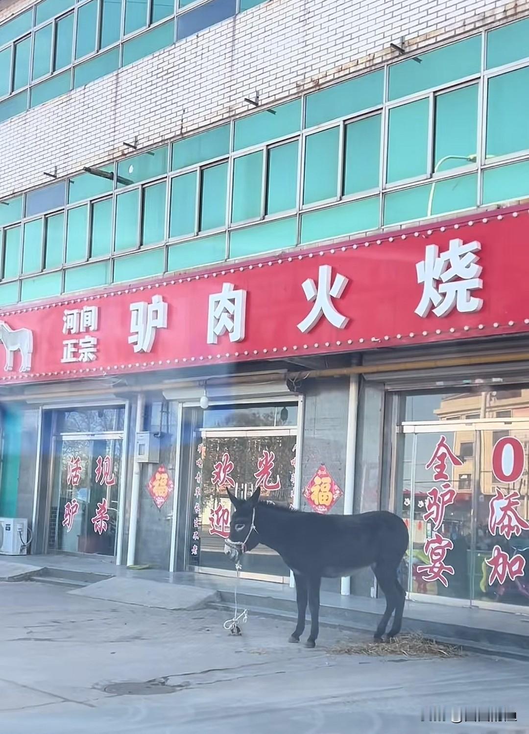 老板为了表示驴肉火烧是正宗的，也是费苦心了，这下该信了吧[呲牙]