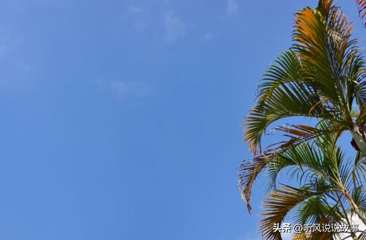 ❤️如果你想做一件事，请马上开始，别怕错，一辈子那么长，我们有的是时间去调整、去