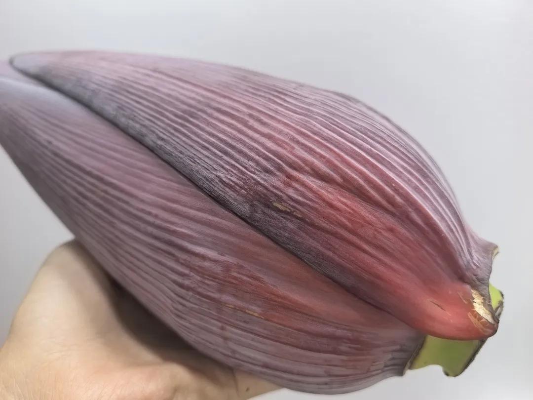 芭蕉花❤️你云南人吗❓你吃过芭蕉花了吗❓