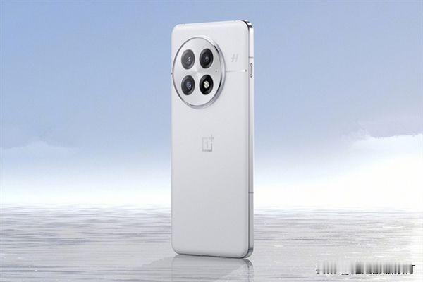 一加13开售30分钟销量破10万台：24G+1TB供不应求
1、一加13开售30
