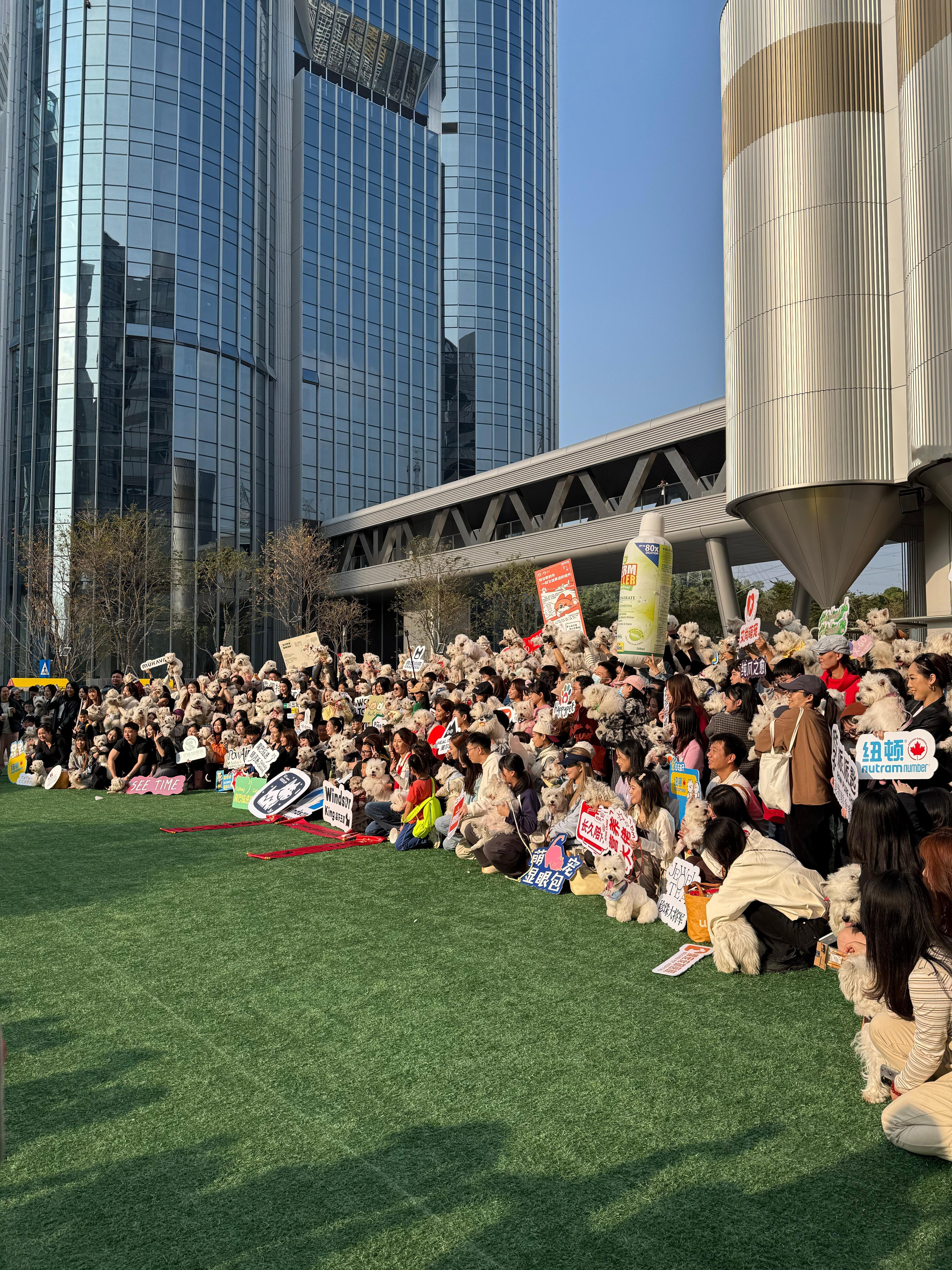 做喜欢的事情就是感着冒发着烧疲惫的不行也开心捏！！300多只西高地年会真把我幸福