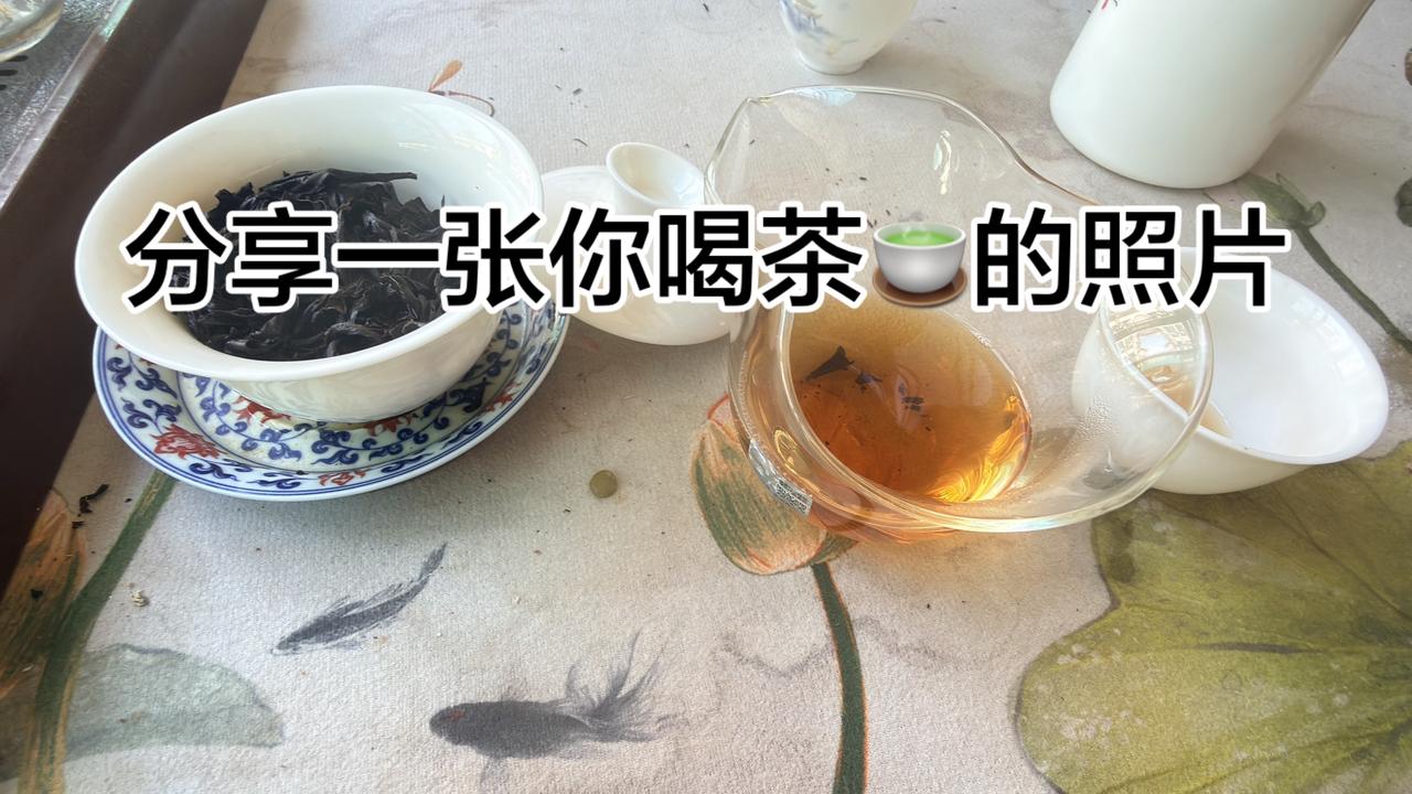 抖音美食创作人 召唤茶友 安和桥 创作者扶持计划 武夷岩茶