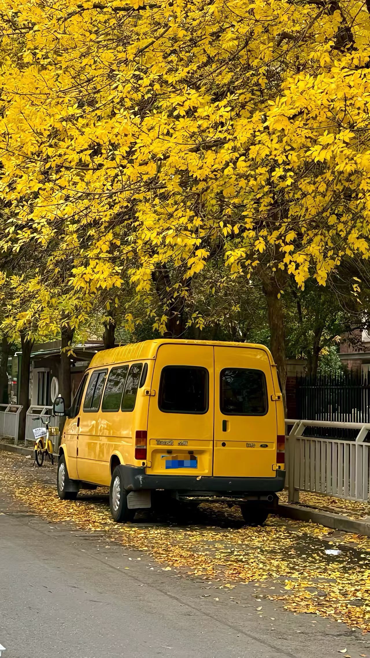 我们还没开盘，日经就大涨2%继续新高，纳指期货也拉升1%，仿佛不知道回调是何物，