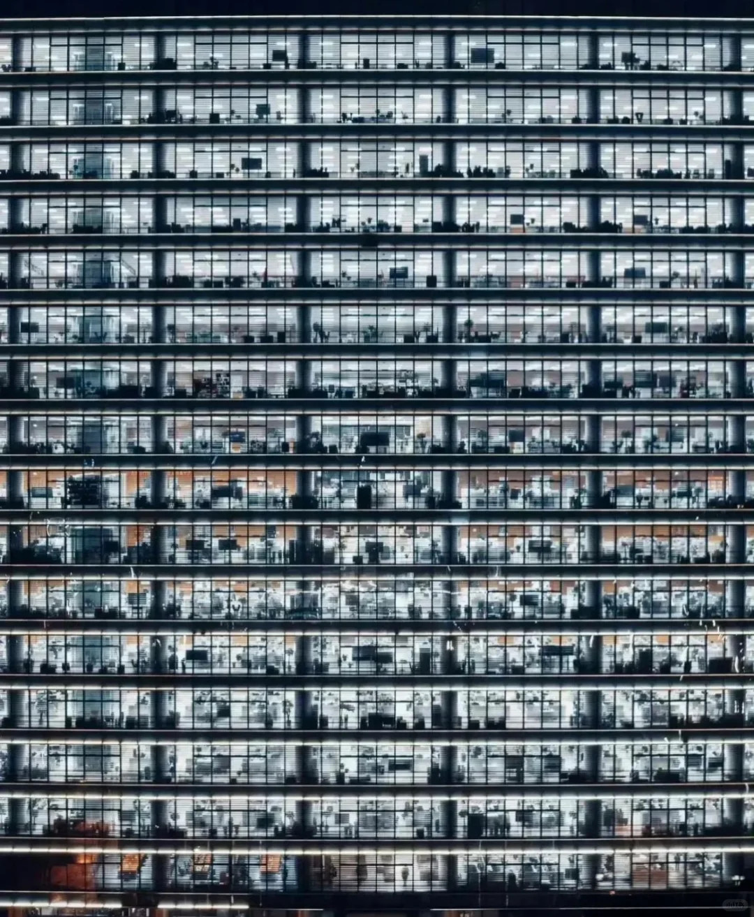 小米，华为，欧莱雅，为啥这些老板宁愿多花钱也不让员工早下班？难道很多人上学的目的...