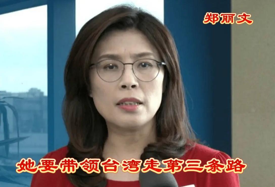 郑丽文带台湾走第三条路线，我们绝对不答应！
台湾国民党主席郑丽文在访谈节目中，谈