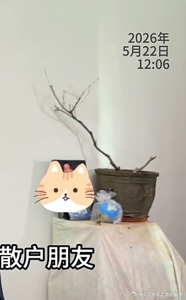 李老师疯狂暗示大a走势笑死😆