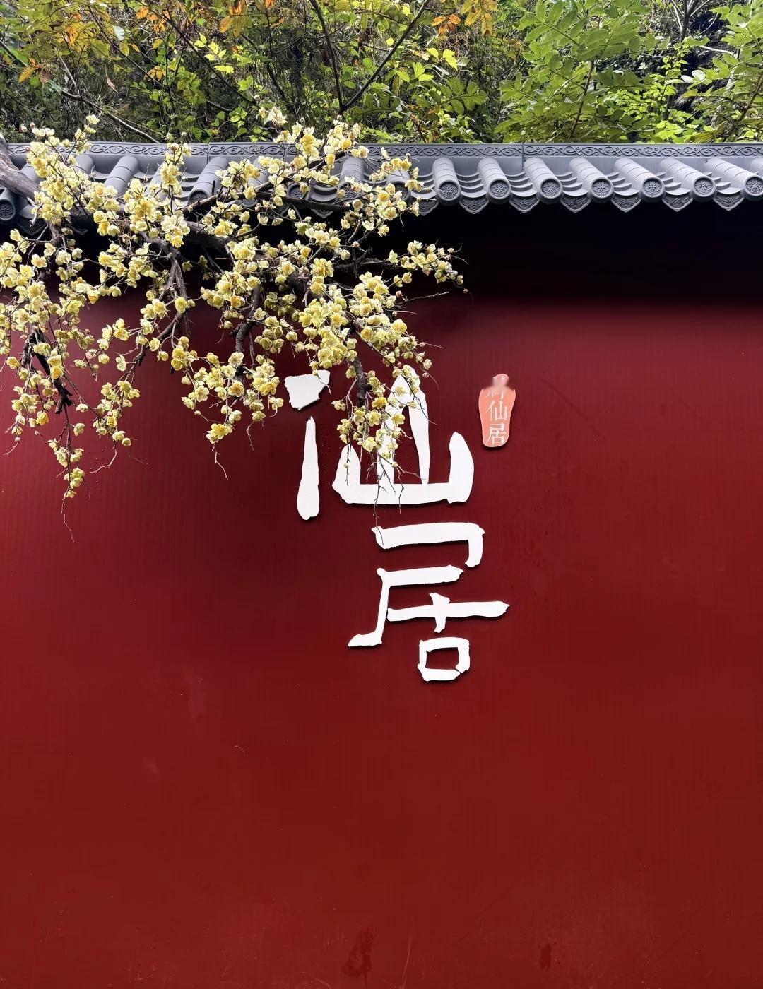 秋假大军…今天来神仙居的后悔了嘛
[what][what][what]11点多自