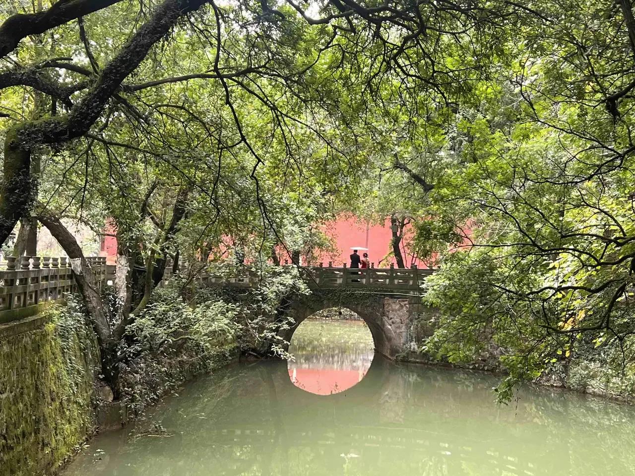 玉溪一景，有没有来过玉溪，来过的都还不一定知道，恐怕只有玉溪本地人知道这这玉溪的