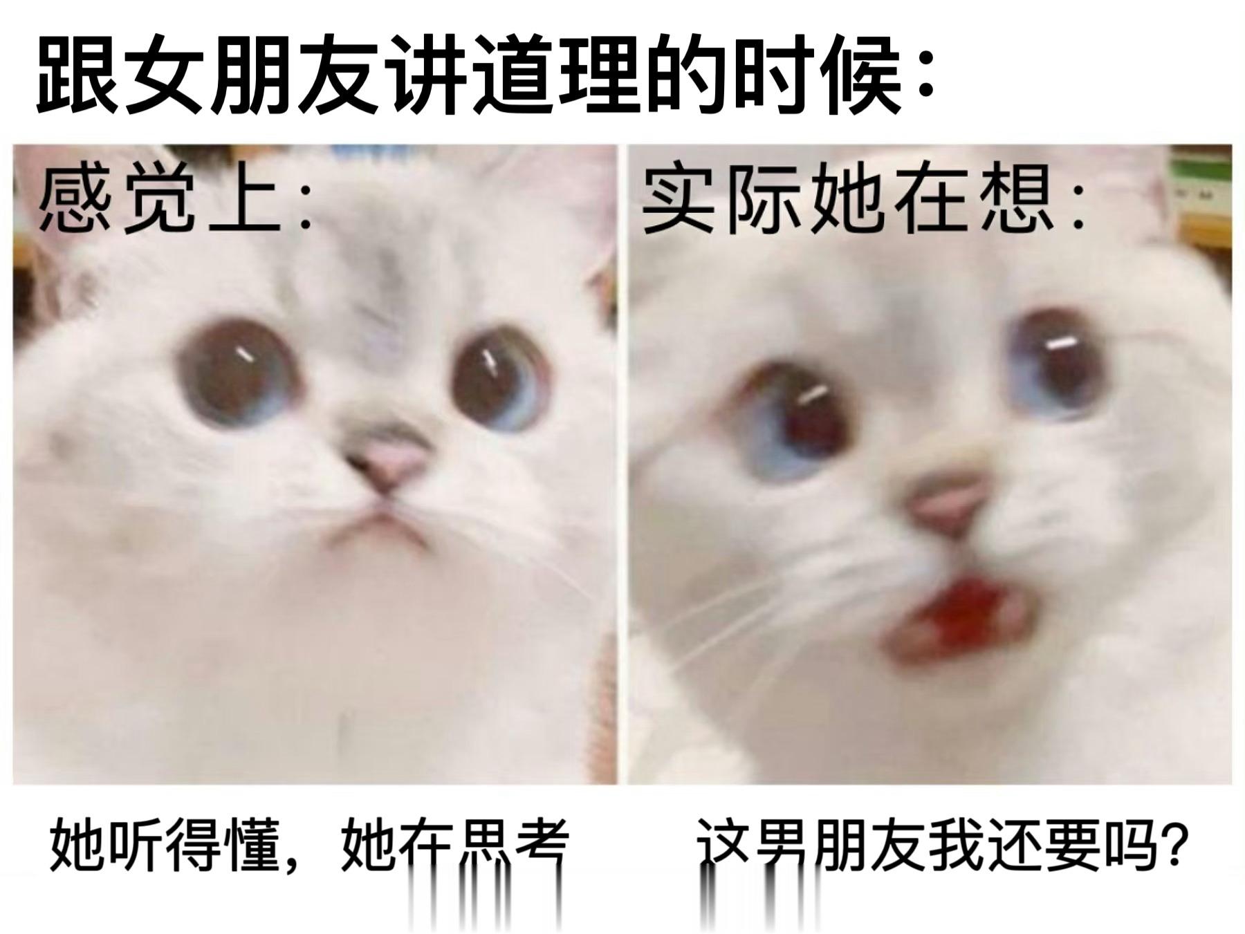 #meme##me_irl# ​​​