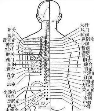 膀胱经很重要，长揉按，捏脊疏通气机膀胱经上的穴位最多主要部分都在人体的后背和腿后