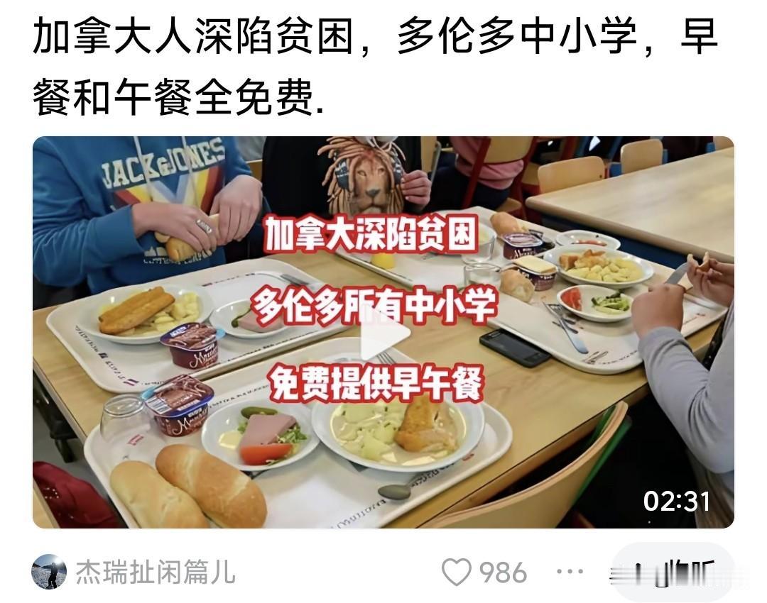 加拿大深陷贫困，多伦多所有中小学，免费提供早午餐？听着挺别扭？

他说加拿大经济