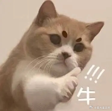 相册里总有一个不可战胜的夏天不管过多少年再翻相册，一看见满屏日光，就瞬间回到那个