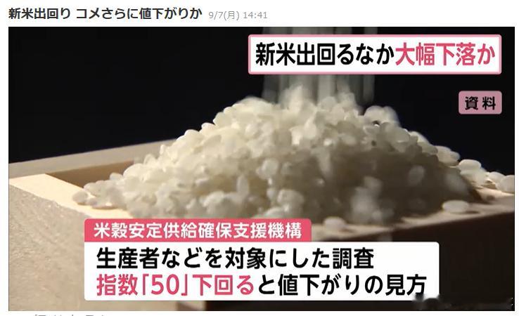 【日本大米价格或将继续下跌】随着新米开始上市，日本大米价格进一步下跌的预期正在增
