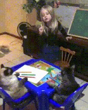 相当宠溺小主人了