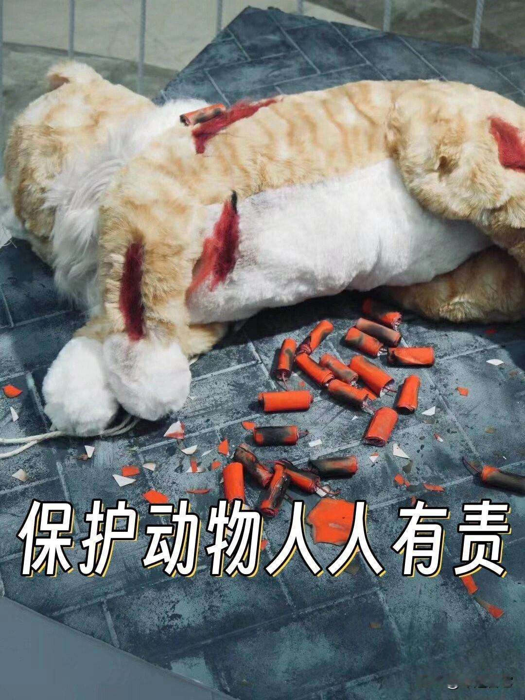 每个生命都只有一条命，谁不怕死？你自己贪生怕死，却靠虐待残害别的生命泄欲取乐？这