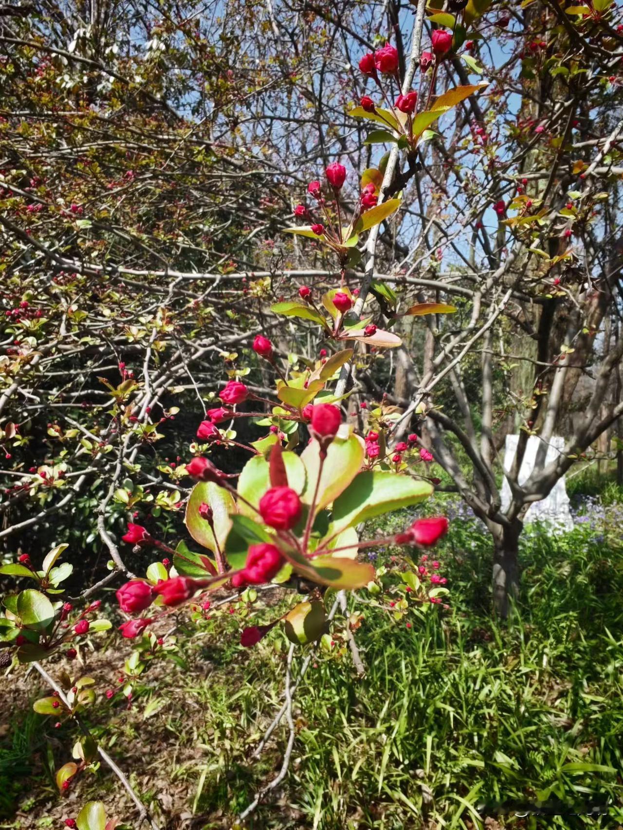 3.17
食品安全问题，已经众所周知。今年3.15晚会里最让人触目惊心的还有“私