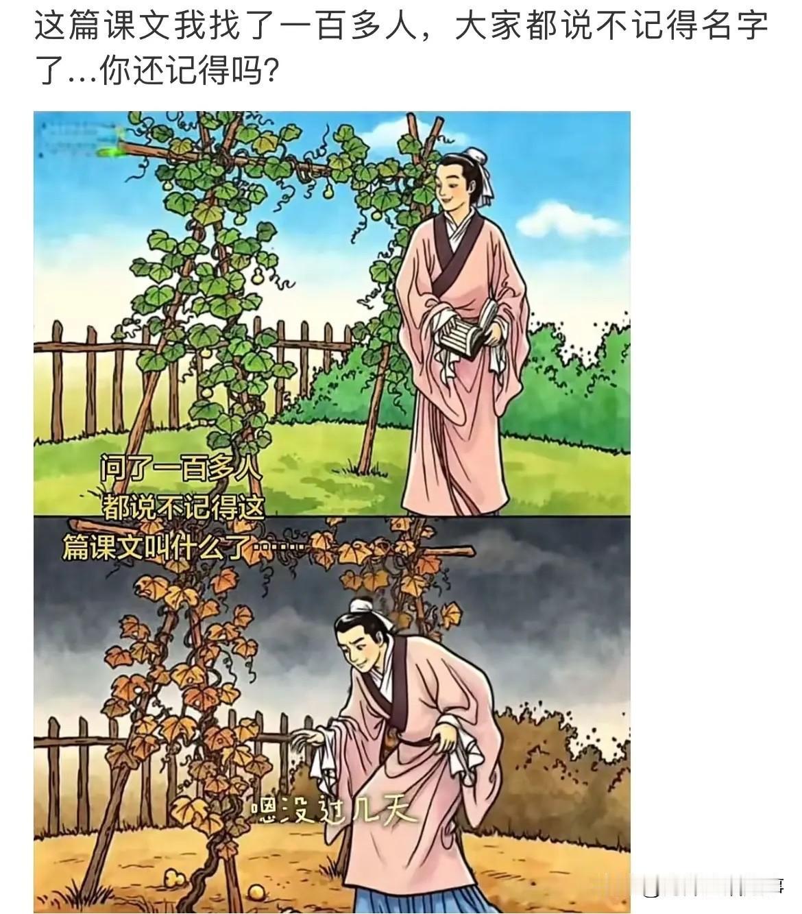 实话实说，我一点印象都没有了！