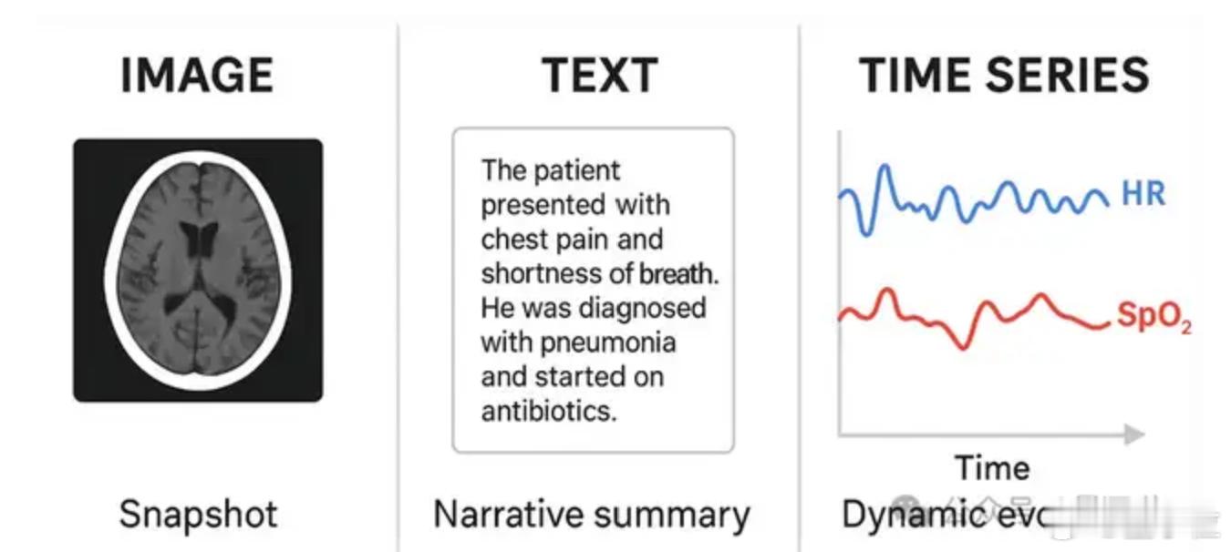 微软发布医疗时序基座模型 在大模型（LLM）与计算机视觉（CV）争相重塑医疗行业